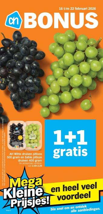 Albert Heijn folder