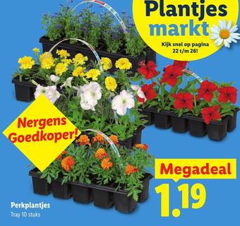 Perkplantjes