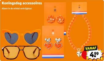 Koningsdag accessoires