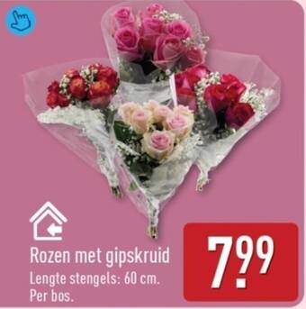 Rozen met Gipskruid