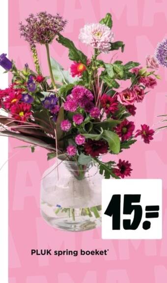 Pluk Spring Boeket