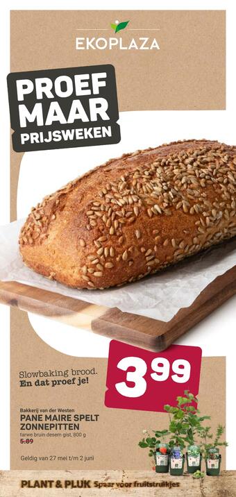 Ekoplaza