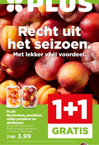 Plus nectarines, perziken, wilde perziken en abrikozen