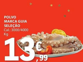 Polvo marca guia seleção