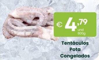 Tentáculos Pota Congelados