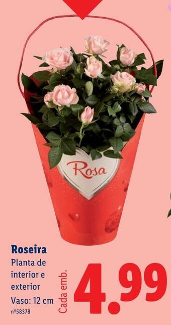 Roseira