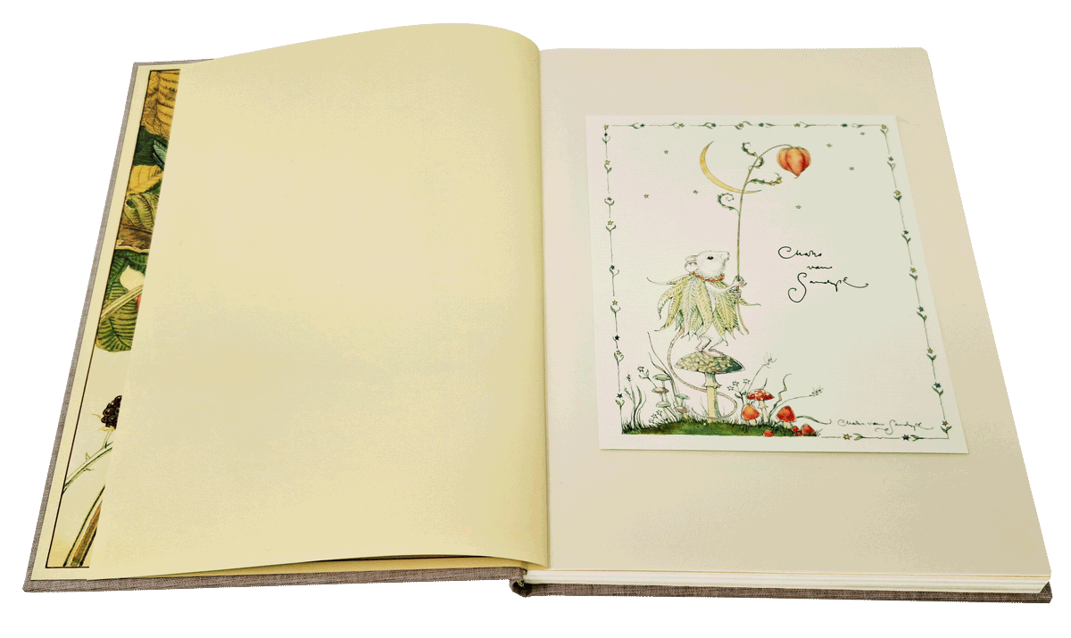 How to see fairies signed edition