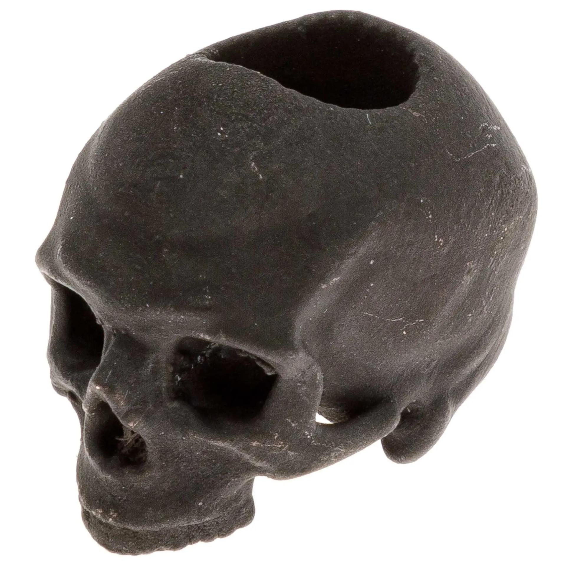 Nomad Cat  Череп