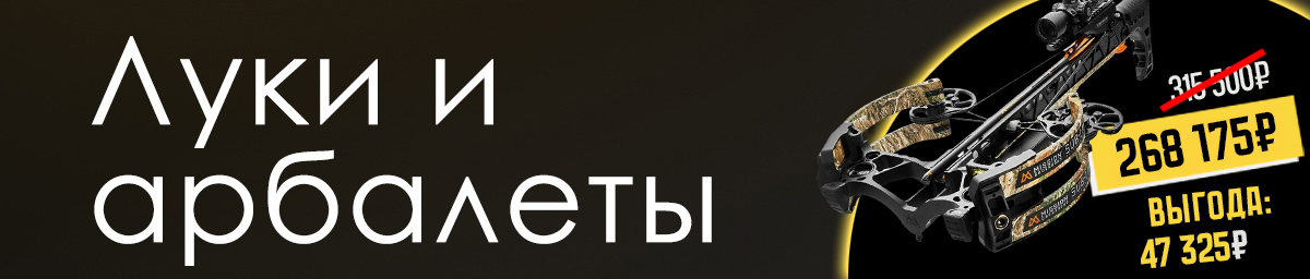 луки арбалеты