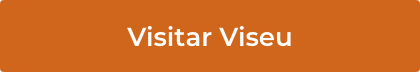 Visitar Viseu