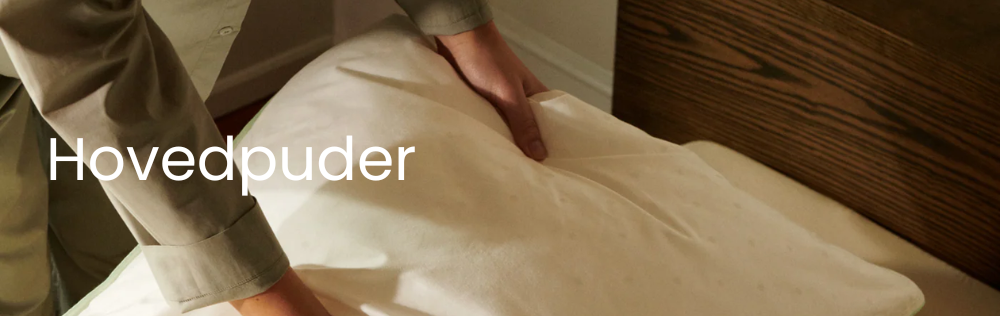 Hovedpuder
