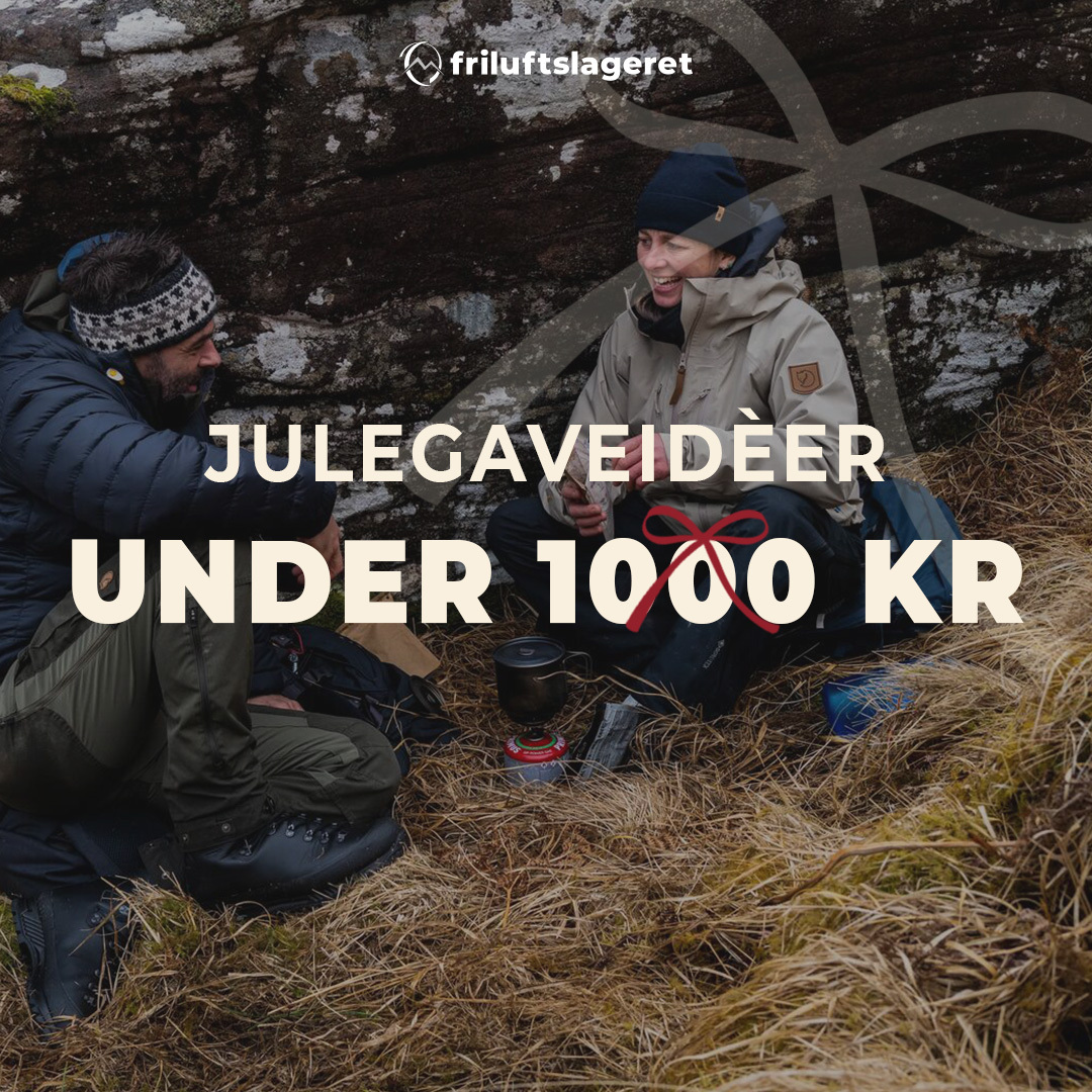 Julegaver under 1000