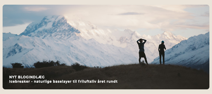 Blogindlæg: icebreaker