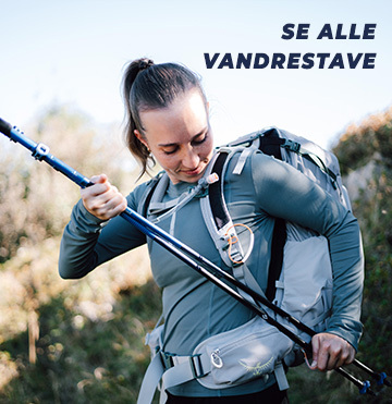Vandrestave