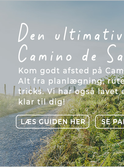 Blogindlæg: Caminoen