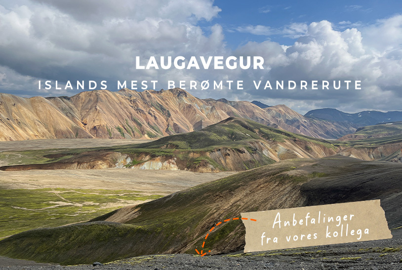 Laugavegur