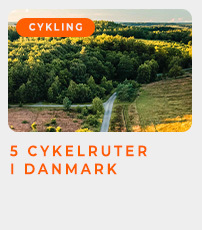 5 cykelruter i Danmark