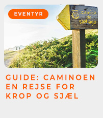 Guide: Camino