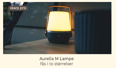 Aurelia M Lampe