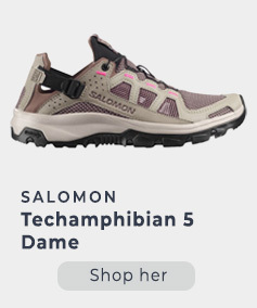 Techamphibian 5 Dame