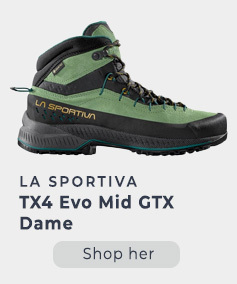 TX4 Evo Mid GTX Dame