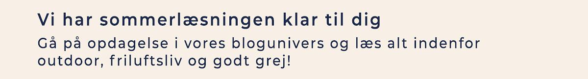 Blogindlæg