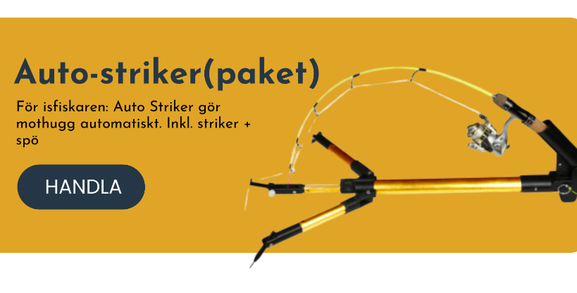 auto striker kombo