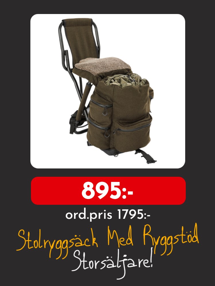 Stolryggsäck