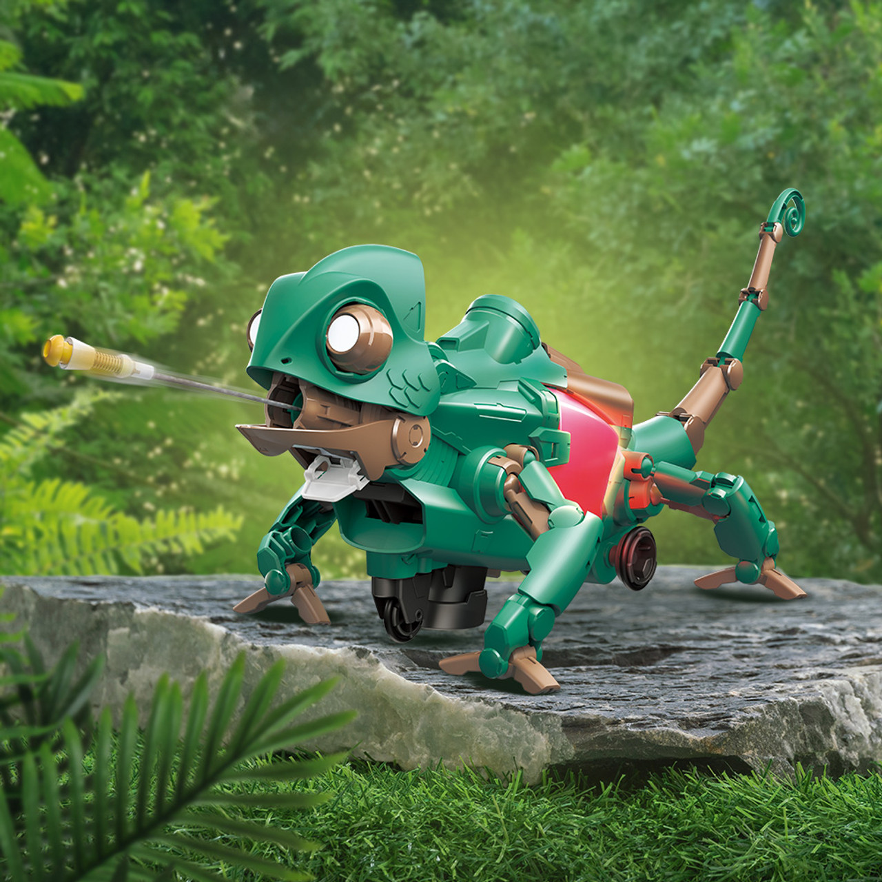 Image of Codee the Chameleon