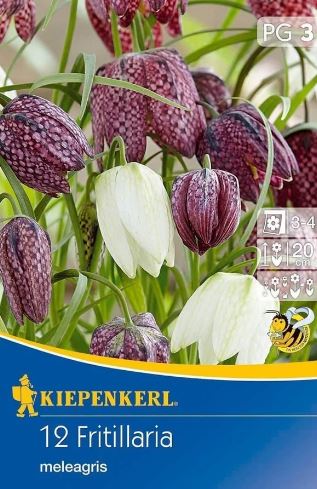 Virághagyma Kockás liliom Mix (Fritillaria Mix) Kiepnkerl 15 db