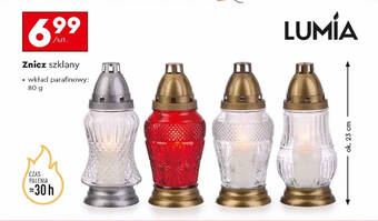 Lumia znicz szklany
