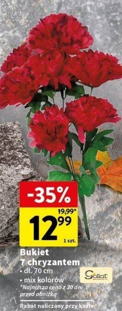 Bukiet 7 chryzantem Goliat