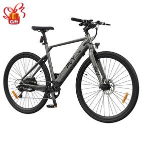 PVY P30 Vélo électrique Pneu de 275*21 pouces Moteur de 500W Capteur de couple de 50N.M Batterie de 36V 135Ah Autonomie de 100km