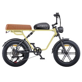 ENGWE M1 Electric Bike 250W Motor 48V 15.6Ah+13Ah Battery 20*4.0 inch Fat Tire 25 km/h Max Speed 170km Range