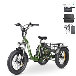 Hidoes HD-ET1 Electric Tricycle with Rear Rack 150kg Load 750W 85NM torque Rear Drive Motor 960Wh (48V 20Ah) Removable Battery Max 65km Range 20*4.0-inch Tire 3* Disc Brake Front Lockable Suspension 7 Gear Reverse and Park Button