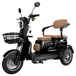 Freejoyer FV6 Electric Tricycle 25km/h Max Speed 55km Range