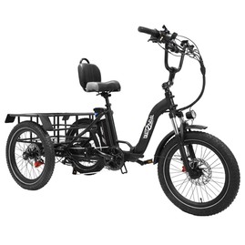 ONESPORT OT30 Electric Cargo Tricycle 500W Motor 180kg Max Load - Black