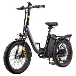 Free Electric Bike 250W Motor 48V 15.6Ah Battery 20*3.0 inch Tire