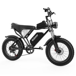 Ridstar Q20 Elektrofahrrad, bürstenloser 1000-W-Motor, 20 x 4 Zoll dicke Reifen, herausnehmbarer 48-V-20-Ah-Akku, Höchstgeschwindigkeit 30 mph