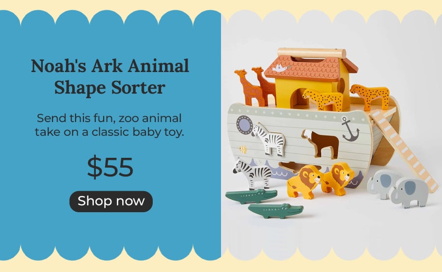 Noah's Ark Animal Shape Sorter