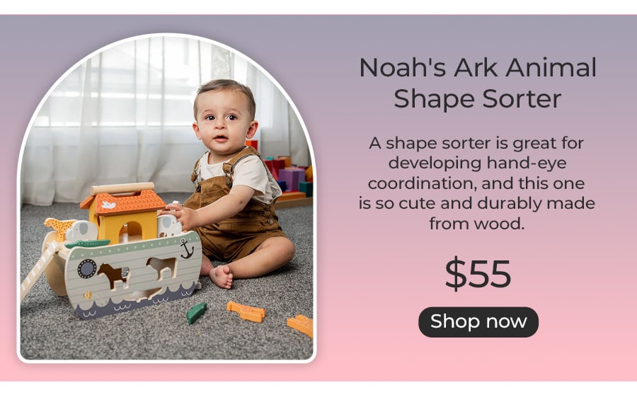 Noah's Ark Animal Shape Sorter