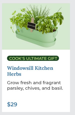 Windowsill Kitchen Herbs