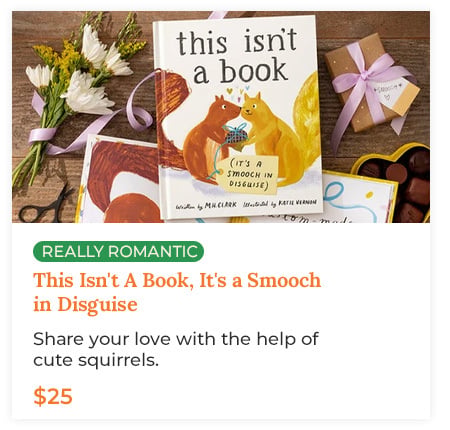 This Isn't A Book, It's a Smooch in Disguise