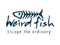 Weird Fish