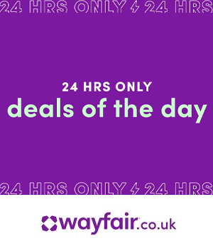 Wayfair: Purple background with text "24 hrs only - deals of the day"