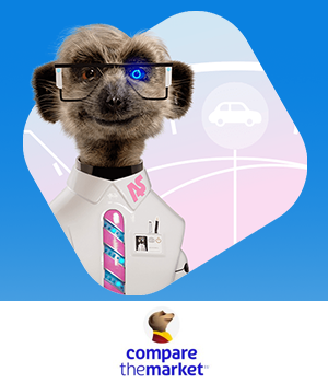 Compare the Market: Compare the Market's meerkat mascot 'Auto-Sergei'