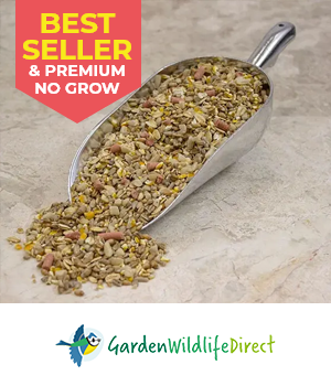 Garden Wildlife Direct: Premium no husk seed mix with sticker reading "best seller & premium no grow"