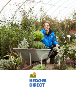 Hedges Direct: Woman carrying a wheelbarrow of hedges and more through a garden centre
