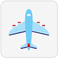 Flights Only