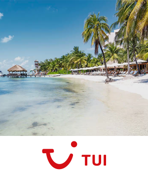 TUI - Palm trees sway on the beach with a view of the shore